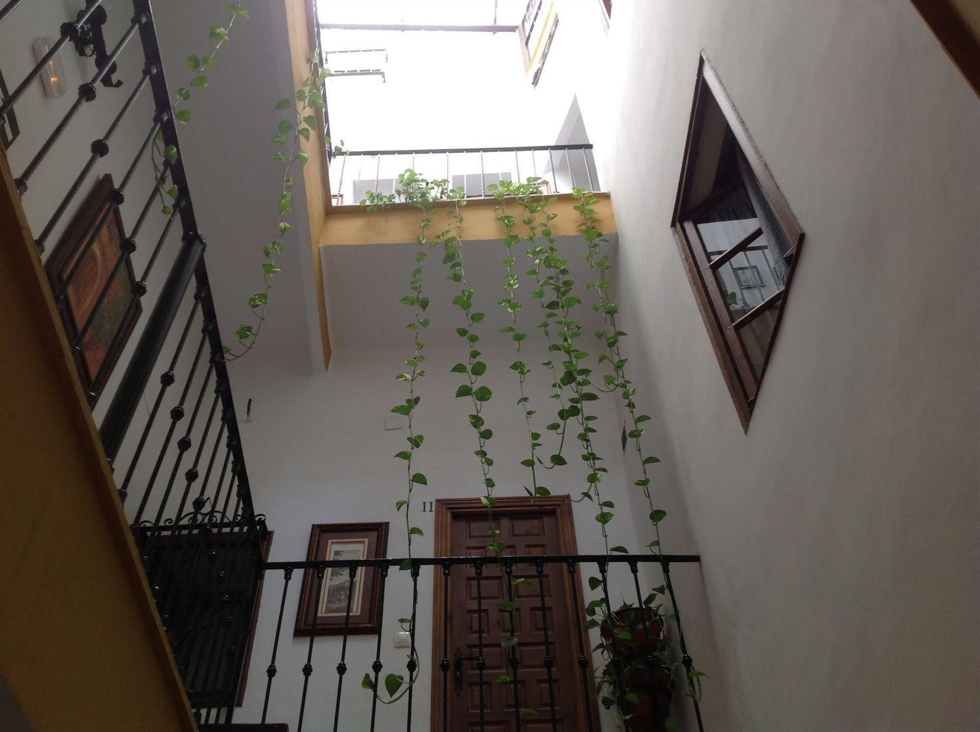 El Rincon De Carlota Casa de hóspedes